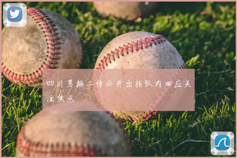 四川男排二传公开出柜队内回应关注焦点