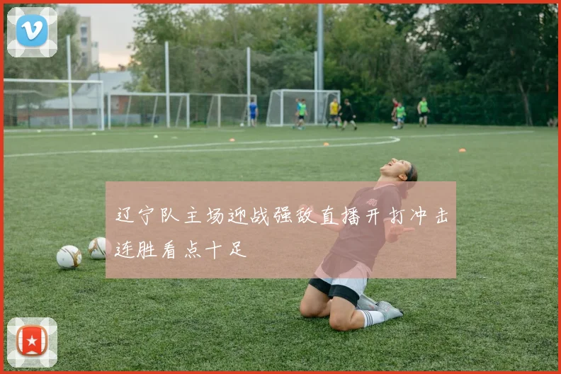 辽宁队主场迎战强敌直播开打冲击连胜看点十足
