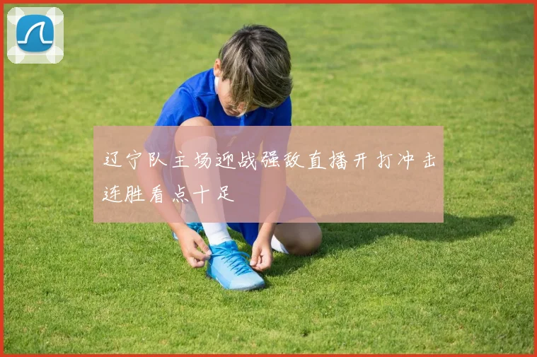 辽宁队主场迎战强敌直播开打冲击连胜看点十足